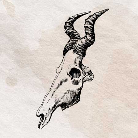 骨 骨格のイラスト Illustration Bone ペン画のイラスト フリー素材はpenga ペンガ