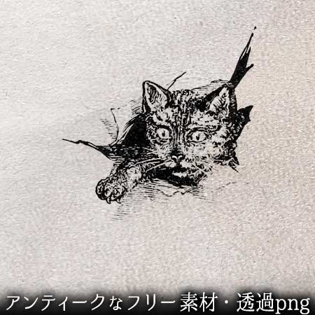 動物のイラスト ペン画のフリー素材 アンティークなイラストはpenga ペンガ