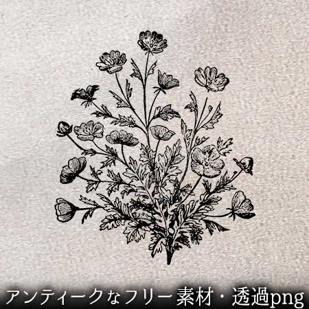 草花のイラスト2 ペン画のフリー素材 アンティークなイラストはpenga ペンガ